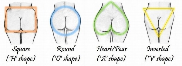 Butt Shape 図.jpg