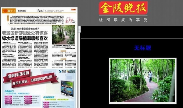 南京の新聞.jpg
