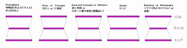 各体型図.jpg