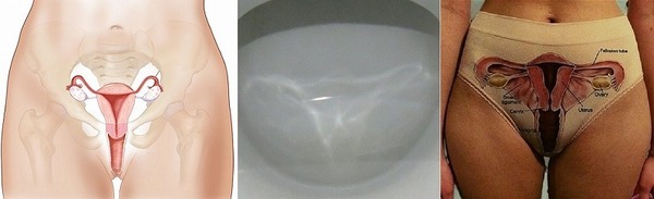 女性器.jpg