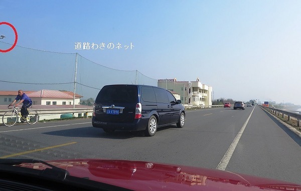 道路わきのネット.jpg