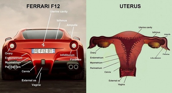 FerrariF12.jpg