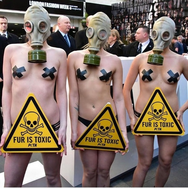 PETA 2.jpg