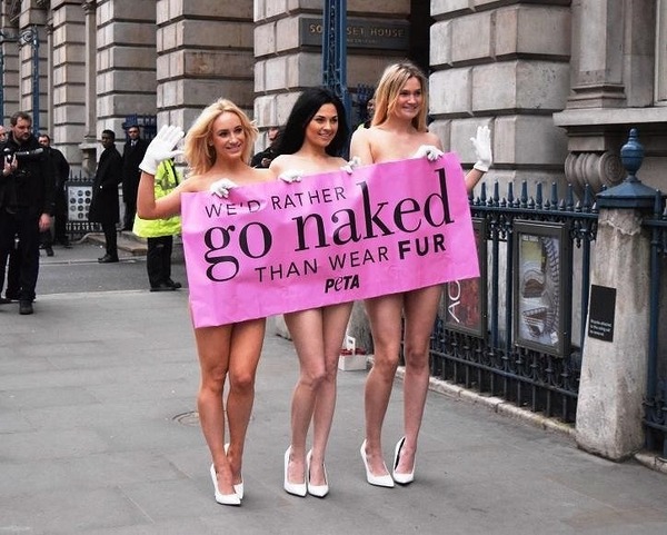 PETA 3.jpg